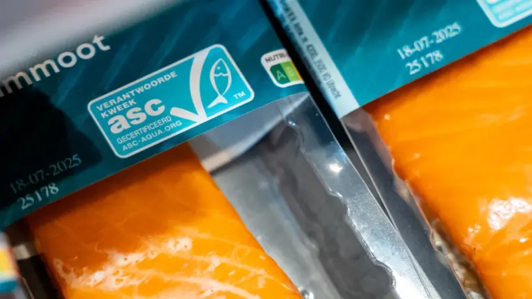 Parduotuvėje parduodama lašišos filė su matomu ASC tvarumo sertifikato ženklu ant pakuotės.