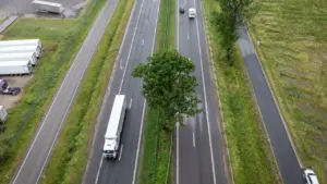 Iš viršaus matomas automagistralės ruožas su per vidurį augančiu dideliu žaliu lapuočiu medžiu.