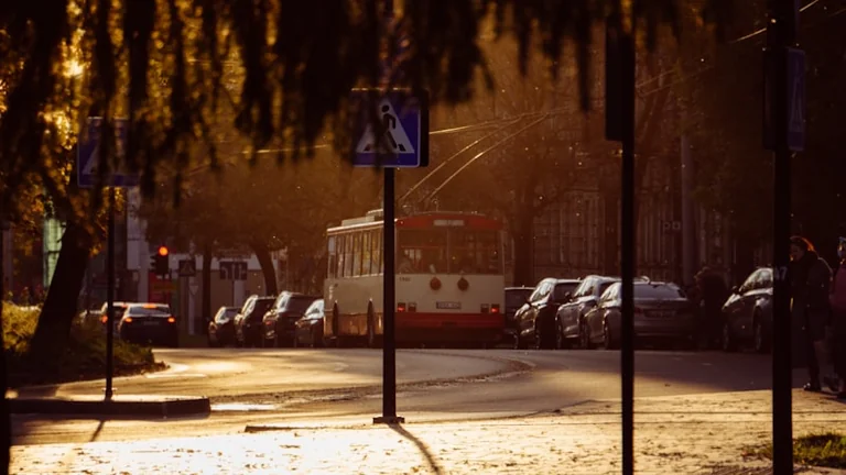 Žolinė Vilniuje: prieš kelionę tikrinkite konkretų reisą
