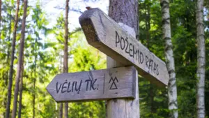 Medinė krypties rodyklė miško take, kviečianti lankytojus pažinti Pakruojo krašto gamtą.