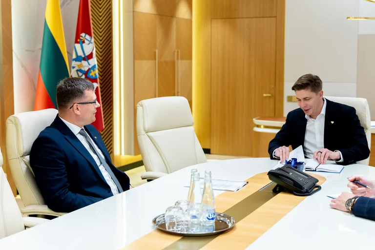 Šildymo sezonui – daugiau biokuro, šeimų planai vėliau