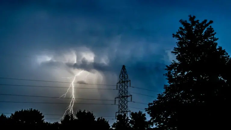 Zarasų rajone be elektros liko per tūkstantį klientų
